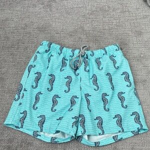 Rainforest Seahorse Swim Trunks